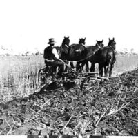 Ploughing At Mr A Wakenshaws Farm Modella 1929